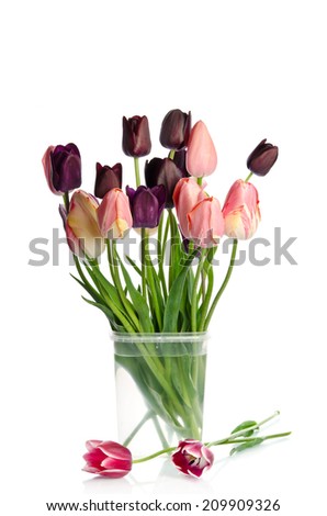 Beautiful bouquet of tulips in transparent vase isolated on white background