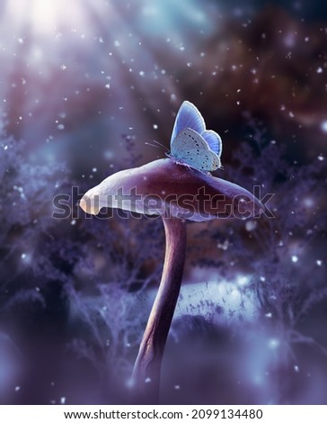 Fantasy mushroom and blue butterfly in fairy tale dreamy elf forest, fabulous fairytale deep dark wood and moon rays in night, mysterious nature background with magical glade in first winter snow. Royalty-Free Stock Photo #2099134480