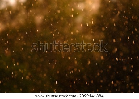 Close up of rainy background