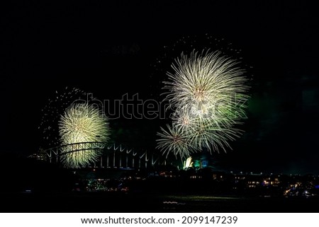 New Year 2020 Sydney Firework