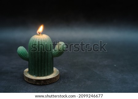 candle shaped cactus with aromatherapy