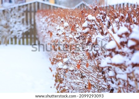 Magic white picture. Dramatic and gorgeous wintry scene. Frozen wooden snowy fence. Winter, snow, drifts. High quality photo