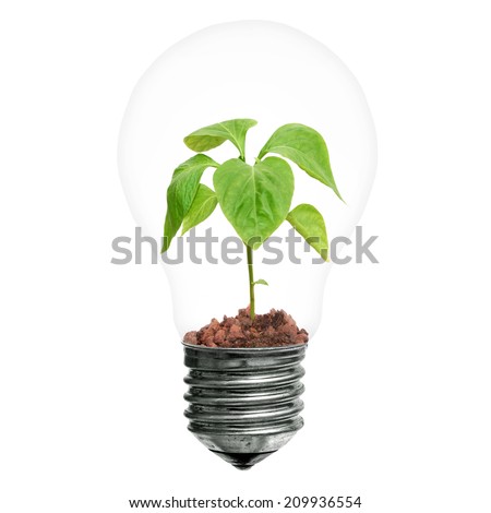 Light bulb with sprout inside idea inspiration.Object white isolated