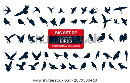 Bird icons set, diferent types of wild birds flat and moder icon set black and white vector Illustration 04