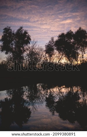 Tree silhouettes and reflections in the water in the countryside during a beautiful sunset