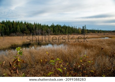 A marsh and barren land with a small pond in the center in autumn. There are trees, shrubs, and large boulders and rocks scattered across the ground. The sky is blue with layers of thick clouds.