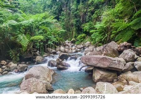 Stream near Casaroro Falls in Valencia, Negros island, Philippines
