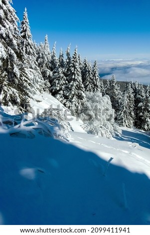 Amazing Winter landscape of Vitosha Mountain, Sofia City Region, Bulgaria