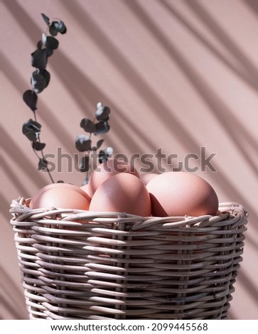Fresh organic eggs in wooden wicker basket with dry eucalyptus stem leaves and shadow light abstract texture background. Medium, head on shot.