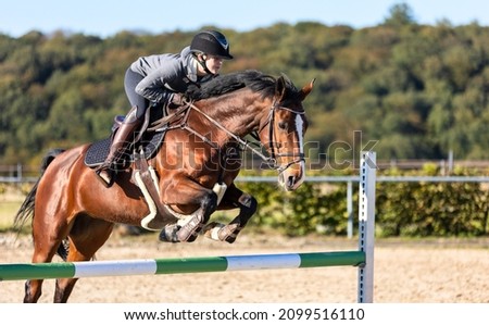 Horse with rider jumping over an obstacle during training.
