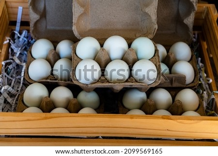 Selective focus of set of 6 duck eggs in paper carton box, healthy food concept