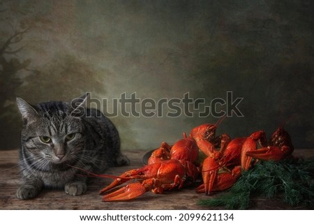Tabby cat and boiled crayfish