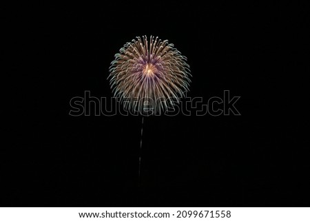 Motegi New Year Fireworks 2021