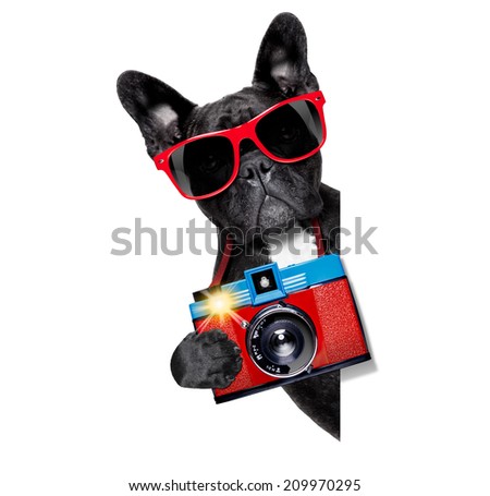cool tourist photographer dog taking a snapshot or picture with a retro old camera