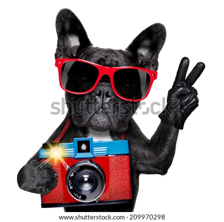 cool tourist photographer dog taking a snapshot or picture with a retro old camera