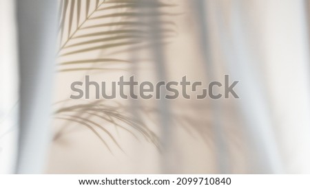 Palm leaves shadow on beige background, freeze motion Royalty-Free Stock Photo #2099710840