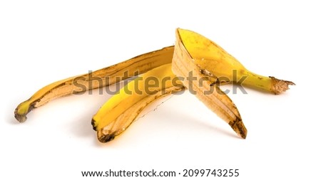 Banana peel isolated on white background. Organic fruit waste