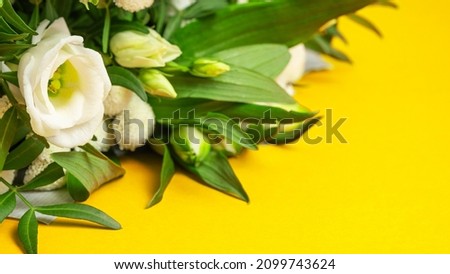 Roses on yelow background. Copy space