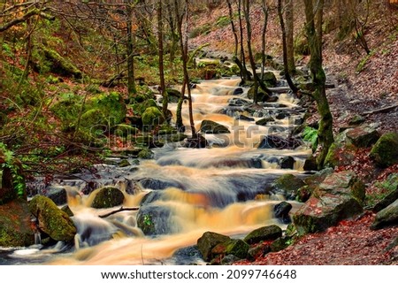 The stream among trees and stones, Beautiful colors of the stream. The green of the forest. Huge boulders