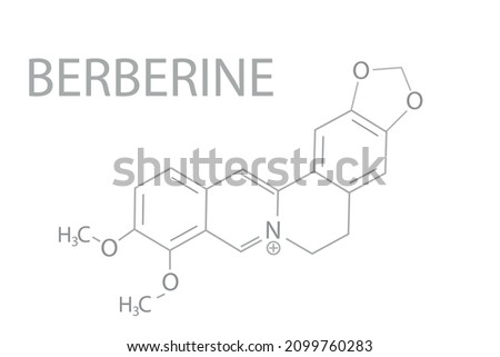 Berberine molecular skeletal chemical formula. Royalty-Free Stock Photo #2099760283