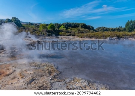 Hell's Gate Geothermal Reserve in New Zealand