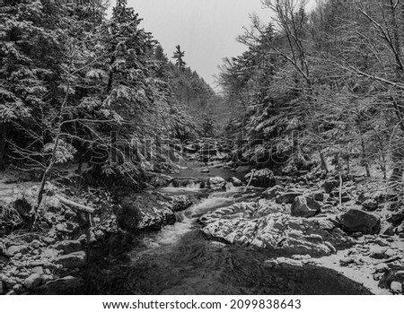 Winter River Water Flow, Snow Covered Trees