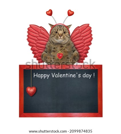 A beige cat angel with wings is near a blank blackboard. White background. Isolated.
