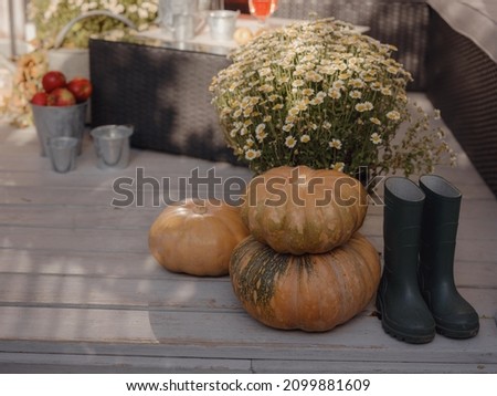 Rain boots in front porch that has been decorated for autumn with heirloom white, orange pumpkins and mums. Selective focus with blurred background. cozy and stylish interior in autumn colors