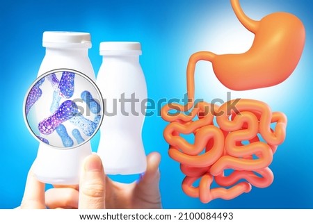 Probiotic bacteria. Beneficial substances for gastrointestinal tract. Probiotics near human stomach. Onions with white bottles containing probiotics. Beneficial bacteria and microorganisms Royalty-Free Stock Photo #2100084493