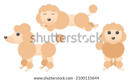 Set Abstract Collection Flat Cartoon Different Animal Pug Dogs Poodles Stand, Spleeping Vector Design Style Elements Fauna Wildlife
