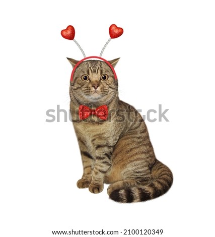 A beige cat in a holiday headband is sitting. White background. Isolated.