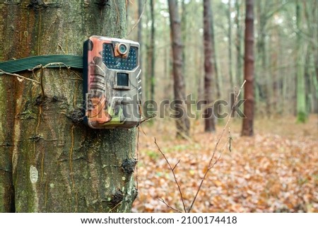 Camera trap on a tree in the forest, close up