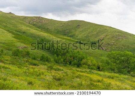 Beautiful summer landscape in Altai. View of the beautiful landscape in Altai With fresh green meadows and peaked mountains in the background on a sunny day. Ust-Kamenogorsk National Park, Kazakhstan