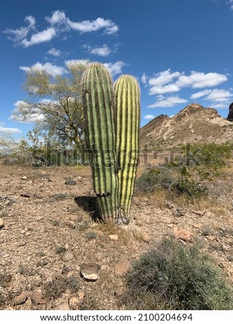 Saddle Mountain Desert Landscape Arizona Royalty-Free Stock Photo #2100204694