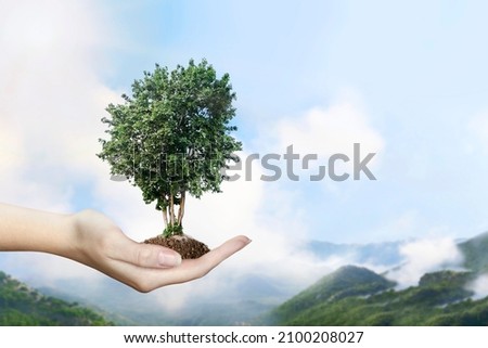 A hand holds a growing tree.  Social responsibility. Earth Day. Mother Nature. Global. Ecology. Pollution control of the planet. Forest reproduction. Planting trees. Save our planet. Co2 reduction Royalty-Free Stock Photo #2100208027