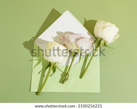 Three white roses on a green envelope against a green background. Minimalist concept of love and affection. Anniversary or Valentine’s concept. Copy space. Flat lay.