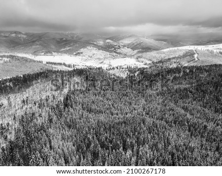 Beautiful panoramic aerial view of the winter forest, mountains and treetops in the snow. Serene landscape. Ukrainian Carpathians. Rest and travel to the mountains. Black and white drone shot