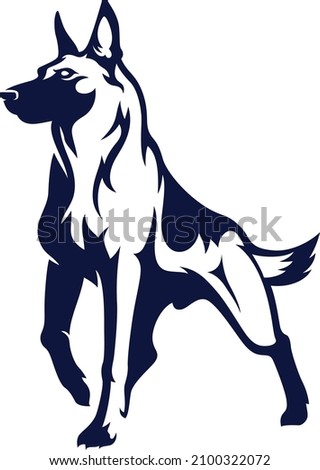 Confident Belgian Malinois (Shepherd) Dog  Royalty-Free Stock Photo #2100322072
