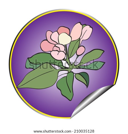 Apple tree flower purple sticker isolated on white
