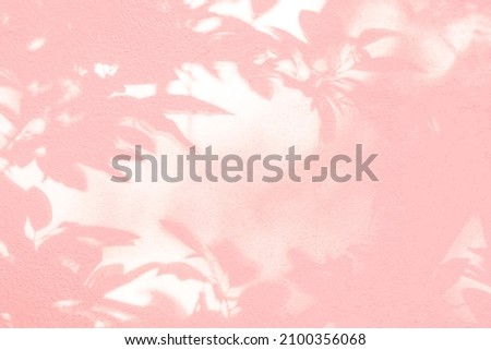 Shadow and light of leaves tree branch background. Natural  colorful leaf pink, coral, rose gold shadow and light from sunlight dappled on white wall texture for wallpaper overlay effect and design
