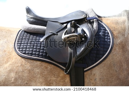 Close up of a sport horse saddle. Old quality leather saddle ready for show jumping  event. Equestrian sport background outdoors