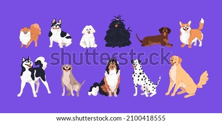Cute happy dogs set. Doggies and puppies of different breeds. Purebred canine animals. Collie, corgi, dachshund, dalmatian, french bulldog and retriever. Isolated colored flat vector illustrations