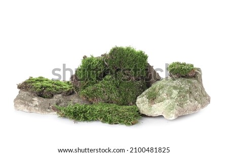 Green moss with rocks isolated on white background