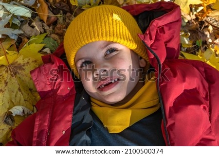 A beautiful little boy in a yellow jacket without a lower tooth laughs in the autumn forest. High quality photo.