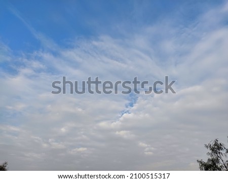 Blue Sky and White clouds. The Eucalyptus tree branch on the conor of the image