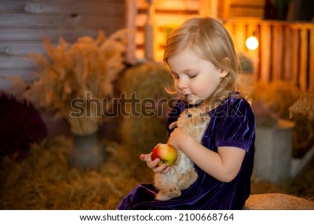 a cute little girl on a background of hay and lanterns holds and looks at a red dwarf rabbit, a background for an Easter greeting or a postcard, a place for a congratulatory inscription