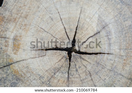 old wood texture background in vintage style