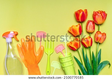 Fresh tulips flowers, seedling pots, garden tools and gloves on light pastel background. Creative composition in orange and green. Gardening, spring work concept. Flat lay, top view, copy space