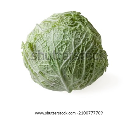 head of fresh savoy cabbage isolated on white