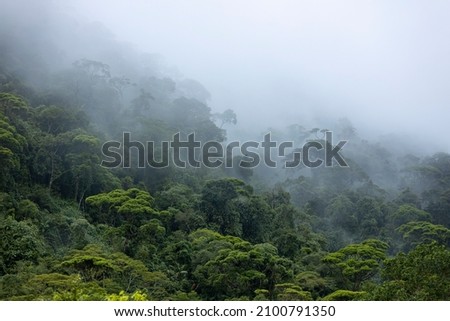 Cloud formation in Brazilian amazon rainforest during monsoon wet season with treetops sticking out of abundant woods on a mountain slope. Climate change and natural phenomenon concept. Royalty-Free Stock Photo #2100791350